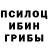 Галлюциногенные грибы Cubensis dekitos