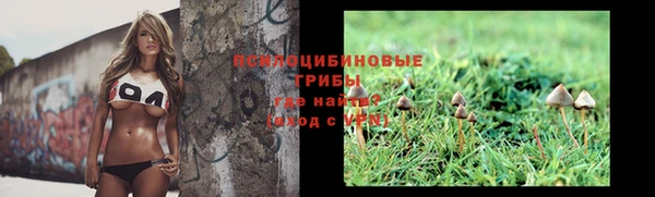 гидра Гусь-Хрустальный